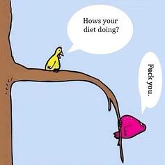 Ditch Your Diet Image